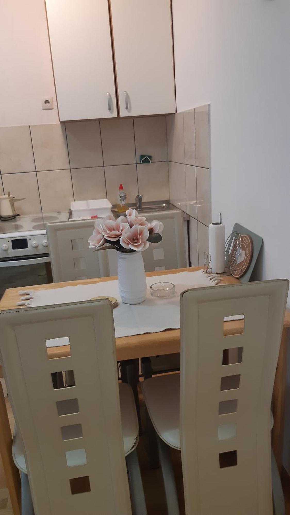 Sirmijum Hause Daire Sremska Mitrovica Dış mekan fotoğraf